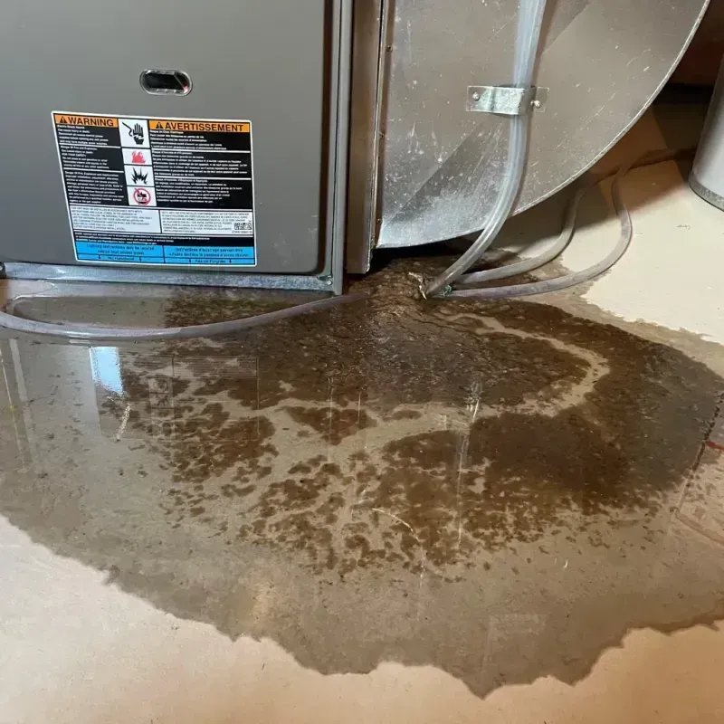 Appliance Leak Cleanup in Shenandoah, VA